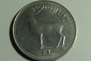 1998 Punt