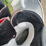 Motobike Boots Image 3