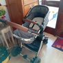 Buggy Image 7