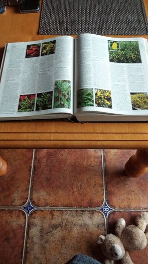 Garden Plants Encyclopedia