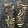 Zebra hills Image 2