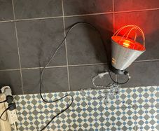 Infrared Heat Lamp