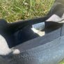 Adidas Predator Accuracy.1 UK Size 12 Image 7