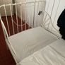 Free Childs extendable bed Image 3