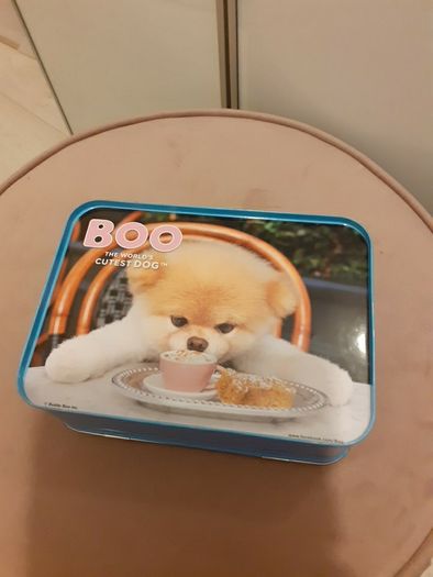 Boo the cutest dog storage tin