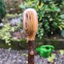 blackthorn walking stick Image 3