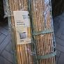 Bamboo Screening Image 2