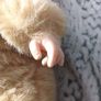 vintage 90s bear doll Image 3