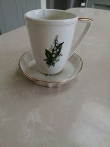 Fine Irish porcelain cup and saucer Hillgrove Caherciveen