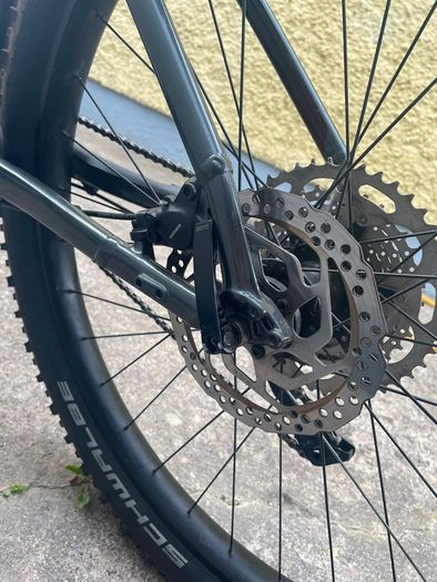 trek roscoe 6