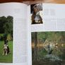 BN Encyclopedia of the Dog Image 5
