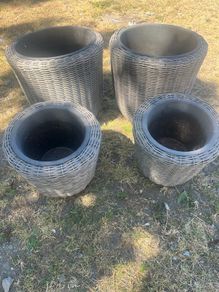 plant pot