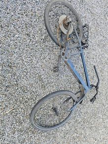 electric bikes