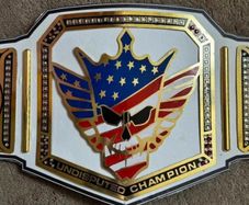 WWE Cody Rhodes American Nightmare Undisputed Championship Wrestling Belt Adult Size