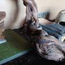 Reptile Vivarium Image 2