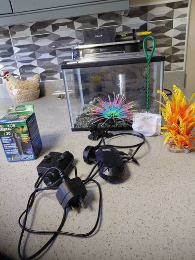 fish tank