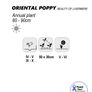 (P) Oriental Poppy Beauty of Livermere seeds 0.1g (432028) Image 2