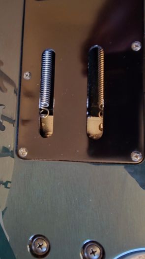 Ibanez RG8570TT J custom