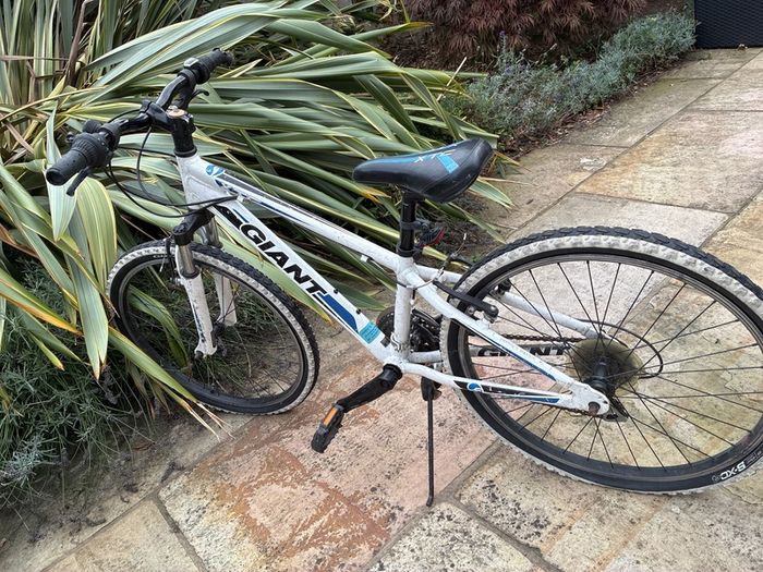 Giant children's bike