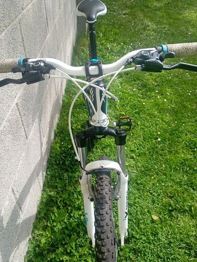 Ladies Felt bicycle MTB
