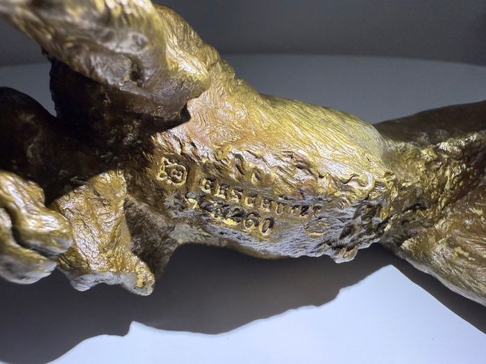 Franz Xaver Bergman - Vienna bronze model of an Irish Red Setter / sporting gun dog, model 3260.