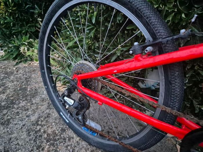 Ridgeback 24in Boy's Bike