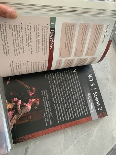 Leaving cert books for English, examination.
