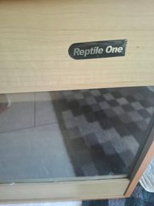 reptile thank