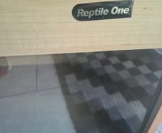 reptile thank
