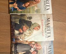 Under the Hawthorn Tree Marita Conlon McKenna Trilogy
