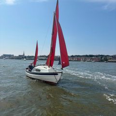 Drascombe Coaster For Sale