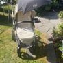 buggy Image 7