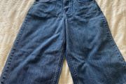 Allsaints Mitchy Culottes Waist 29" BNWT