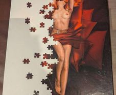 The Witcher 2: Assassins of Kings Puzzle