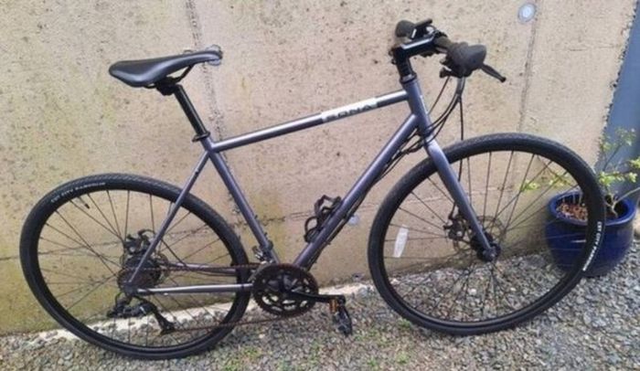 hybrid bike