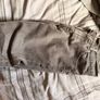 Levi's Jeans Mens W32 L30 Image 3