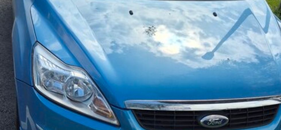 2009 Ford Focus
