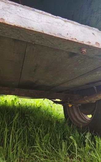 trailer dog trailer