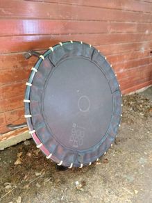 Fitness Trampoline