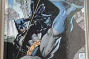 Batman Hush Pt 1 a DC Comics Graphic Novel
