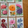 Vintage Cigarette cards Image 6