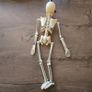 Hanging Halloween skeleton Image 3