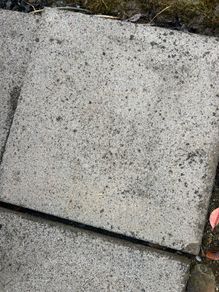 Patio Slabs