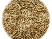 Grass Seed for Sports and Play 20 kg