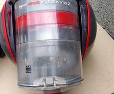 Dyson Big Ball Animal 2