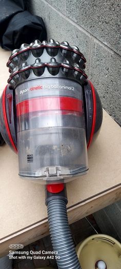 Dyson Big Ball Animal 2