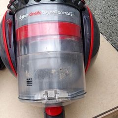 Dyson Big Ball Animal 2