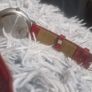 Very Rare En avant Guingamp football watch Image 3