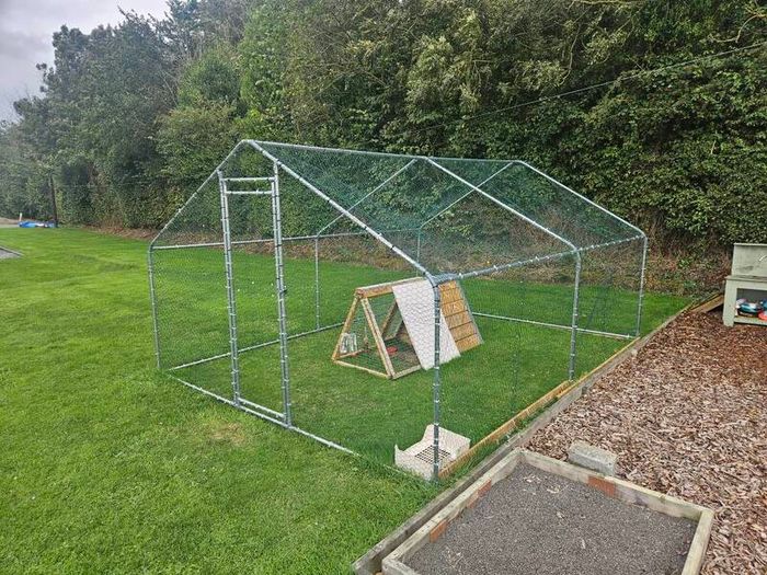 rabbit hutch & enclosure