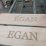Egan Image 6